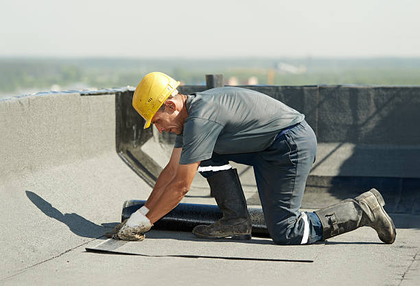 Insulation for Commercial Buildings in Dooms, VA